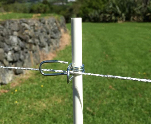 植物のサポートのためのFRPステークス オーダーメイドの長さと軽量 トマトベビーステークス