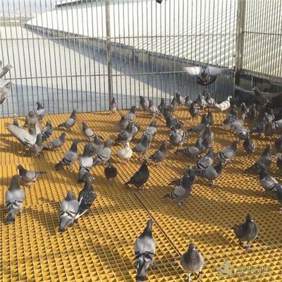 オープン エリア 40% 80% FRP 家畜用格子 鶏/鳥/鳩用床のソリューション