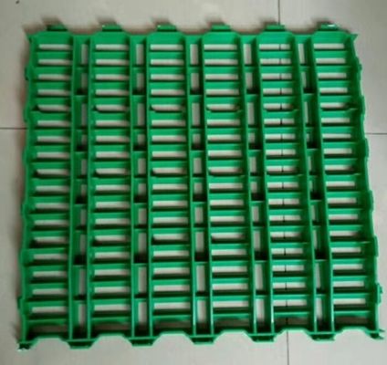60x60x5cm 羊屋用 プラスチック製 スラット製 床 工業デザイン スタッドフル