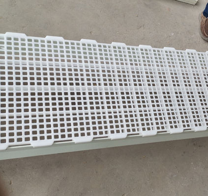 1200x500x50mm 鶏肉 鶏肉農場 プラスチック製 スラット式床 工業設計
